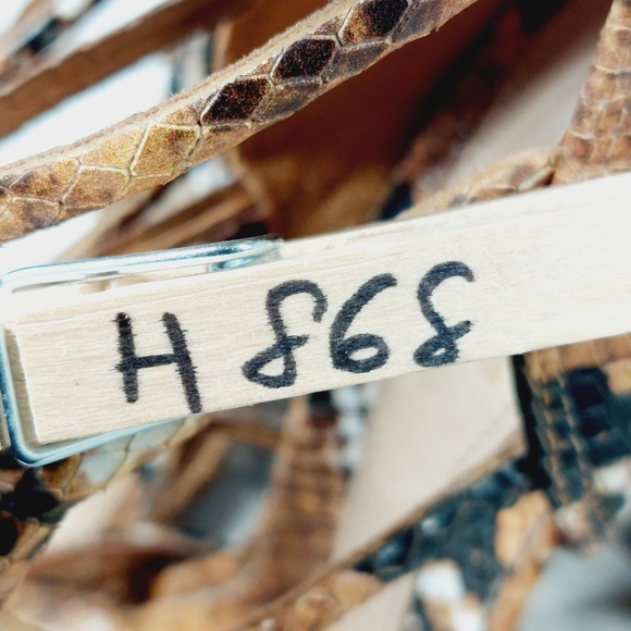 Schutz Julianna Block Snake-Embossed Leather Cage Sandals H868 - Picture 13 of 13